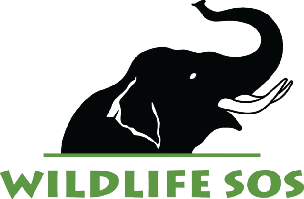 120 Minute Conservation Tour - ECCC
