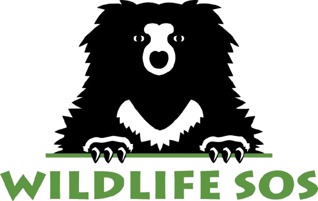 Half Day Conservation Experience - ABRF