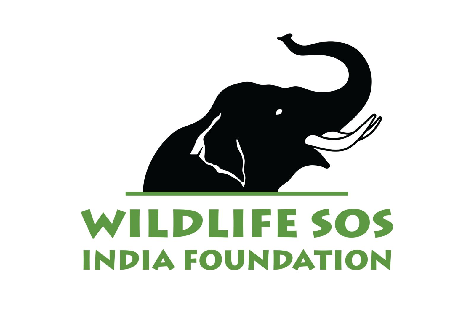 World Elephant Day Special : A Day for Elephants